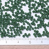 MIYUKI Round Rocailles Beads SEED-G007-RR2048-4