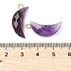 Natural Amethyst Pendants G-L614-D05-G05-3