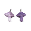 Natural Amethyst Pendants G-R480-02L-2