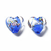 Handmade Lampwork Beads LAMP-T011-04C-2