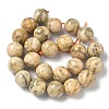 Natural Feldspar Beads Strands G-F818-A06-16mm-02-3