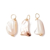 Natural Seashell Nuggets Charms PALLOY-JF02842-1