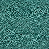 11/0 Grade A Baking Paint Glass Seed Beads X-SEED-N001-A-1015-2