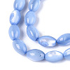 Natural Trochus Shell Beads Strands SHEL-K006-19-01A-3