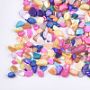Shell Beads MRMJ-S034-06G-2