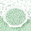 Baking Paint Glass Seed Beads SEED-N007-29I-2