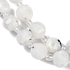 Natural Rainbow Moonstone Beads Strands G-G182-B29-03-4