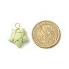 Opaque Resin Pendants PALLOY-JF01849-01-3