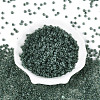 6/0 Transparent Inside Colours Glass Seed Beads SEED-N008-08D-2