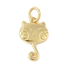 Brass Pendants KK-L245-03G-04-1