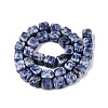 Natural Blue Spot Jasper Beads Strands G-Q608-10G-3
