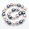 Oval Shell Pearl Bead Strands BSHE-M008-04-2