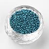 Baking Paint Cylinder Seed Beads SEED-R041-11-3