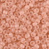 6/0 Transparent Inside Colours Glass Seed Beads SEED-N008-08M-3