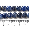 Natural Sodalite Beads Strands G-R190-10mm-37-5