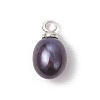 Dyed Natural Cultured Freshwater Pearl Pendants PALLOY-TA00244-3