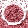 6/0 Transparent Inside Colours Glass Seed Round Beads X1-SEED-N006-004L-2