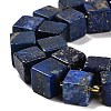 Natural Lapis Lazuli Beads Strands G-G053-B06-01-4