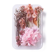 Dried Flowers DIY-D052-13