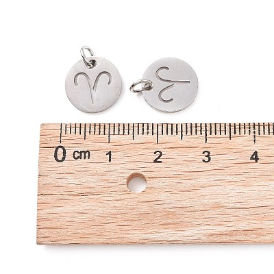 Non-Tarnish 304 Stainless Steel Charms STAS-Q201-T445-1S-1
