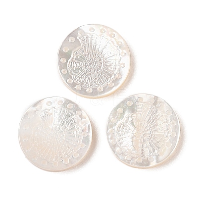 Natural White Shell Carved Cabochons SSHEL-C012-22A-1