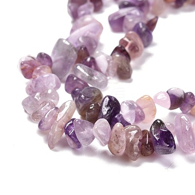 Natural Amethyst Beads Strands G-P332-07-1