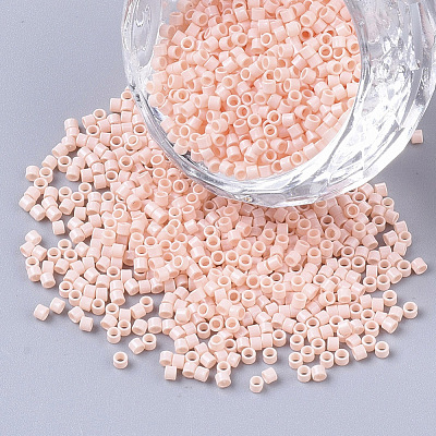 FGB 11/0 Grade A Glass Seed Beads SEED-S030-1493-1
