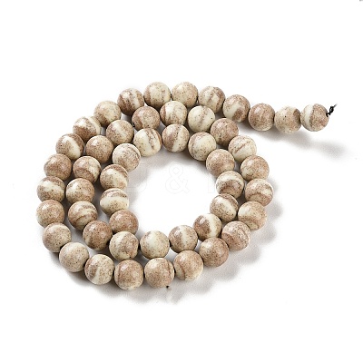 Natural Rainbow Alashan Agate Beads Strands G-NH0022-A10-02-1