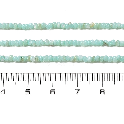 Natural Freshwater Shell Beads Strands SHEL-P017-01A-08-1