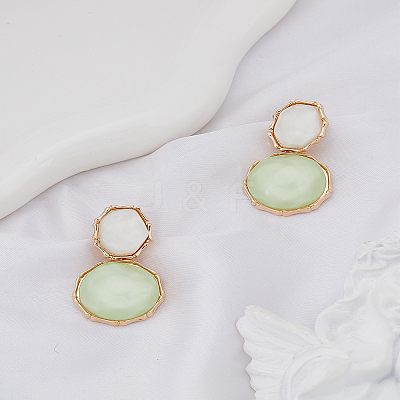 1 Pair Resin Dangle Stud Earrings EJEW-LP0004-82B-1