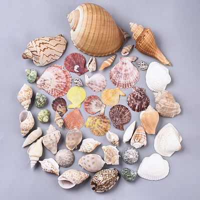 Natural Spiral Shell Beads SSHEL-N035-01-1