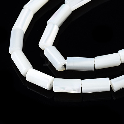 Natural Trochid Shell/Trochus Shell Beads Strands X-SSHEL-S266-020A-02-1