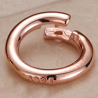 925 Sterling Silver Twister Clasps STER-WH0008-84B-RG-1