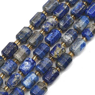 Natural Lapis Lazuli Beads Strands G-D103-A02-1