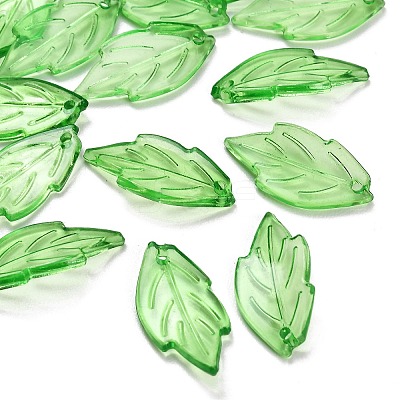 Transparent Acrylic Pendants AC-CBA5040-01I-1