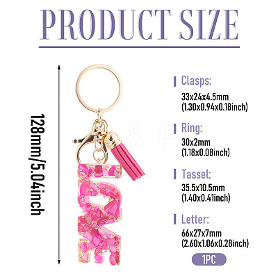 Resin with Alloy Tassel Pendant Keychainss AJEW-TADJ0001-20G-01-1