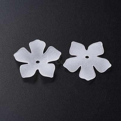 Transparent Acrylic Beads MACR-S373-119-D01-1