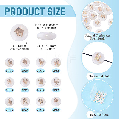 24Pcs 12 Styles Natural Freshwater Shell Beads SHEL-TA0001-42-1