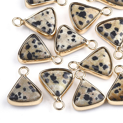 Natural Dalmatian Jasper Pendants G-S344-10B-1