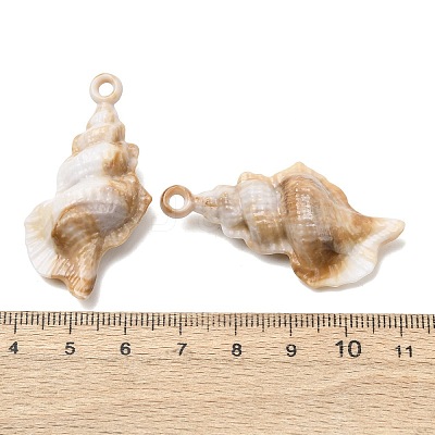 Imitation Shell Acrylic Pendants SACR-K005-07B-1