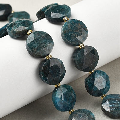 Natural Apatite Beads Strands G-C116-A159-03-1