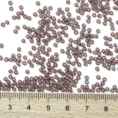 TOHO Round Seed Beads SEED-JPTR11-0166BF-1