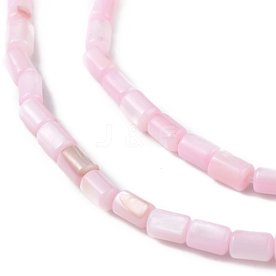 Natural Freshwater Shell Dyed Beads Strands X-SHEL-M018-12-09-1