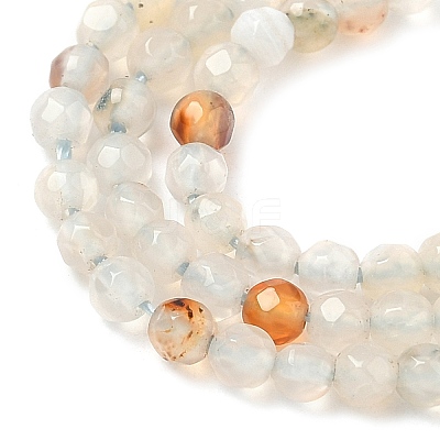Natural Agate Beads Strands G-H302-A04-03-1
