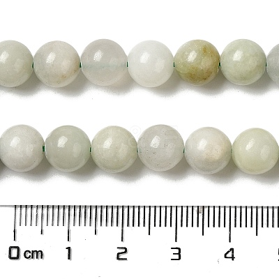 Natural Jade Beads Strands G-H298-A16-05-1