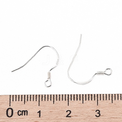 925 Sterling Silver Earring Hooks STER-K167-049B-S-1