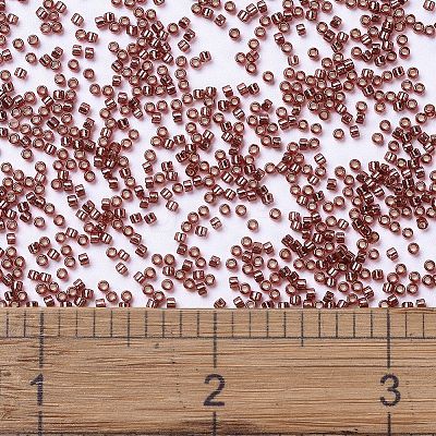 MIYUKI Delica Beads SEED-MY11-DB2160-1