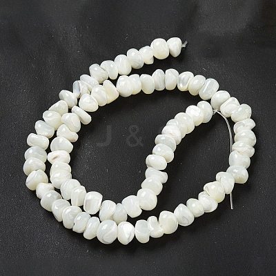 Natural Trochus Shell Beads Strands BSHE-G039-01B-1