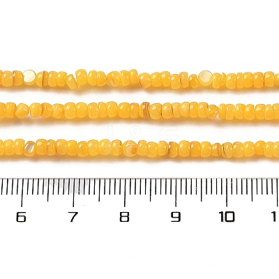 Natural Freshwater Shell Beads Strands SHEL-P017-01B-06-1