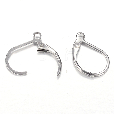 Tarnish Resistant 304 Stainless Steel Leverback Earring Findings STAS-M217-03-1